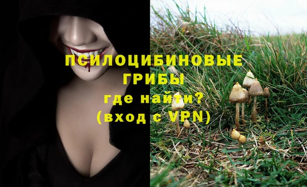 spice Алзамай
