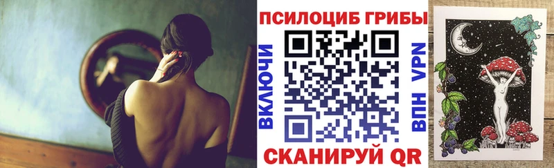 купить  сайты  Александровское  Галлюциногенные грибы Psilocybine cubensis 