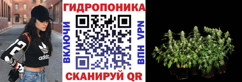 Каннабис Amnesia  hydra ссылка  Александровское 